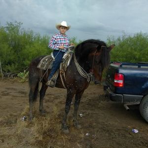 Meet your Posher, Lazaro